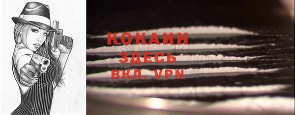 apvp Инта
