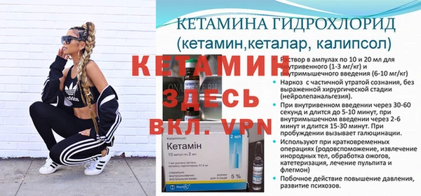 apvp Инта