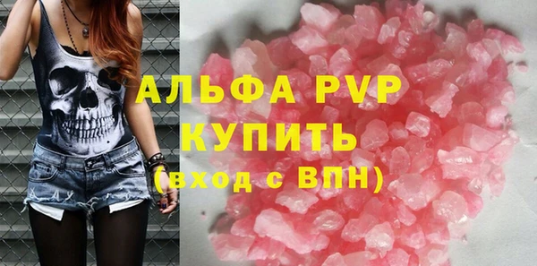 apvp Инта